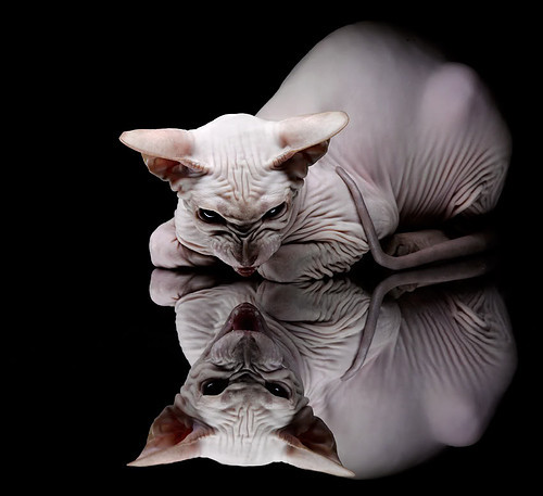 基层足球俱乐部融资渠道有限,足球俱乐部经营